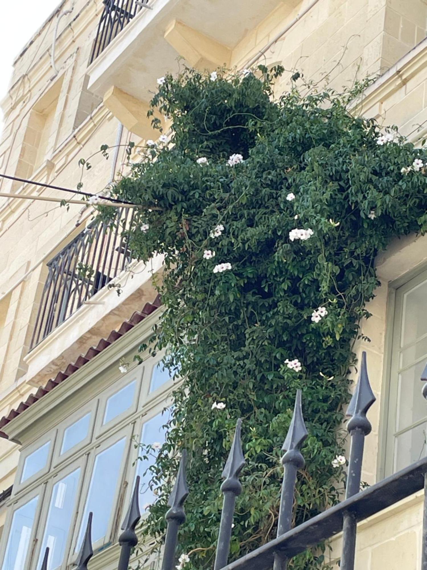 Simons Apartments Minutes Away From Balluta Bay And St Julians Sliema Kültér fotó